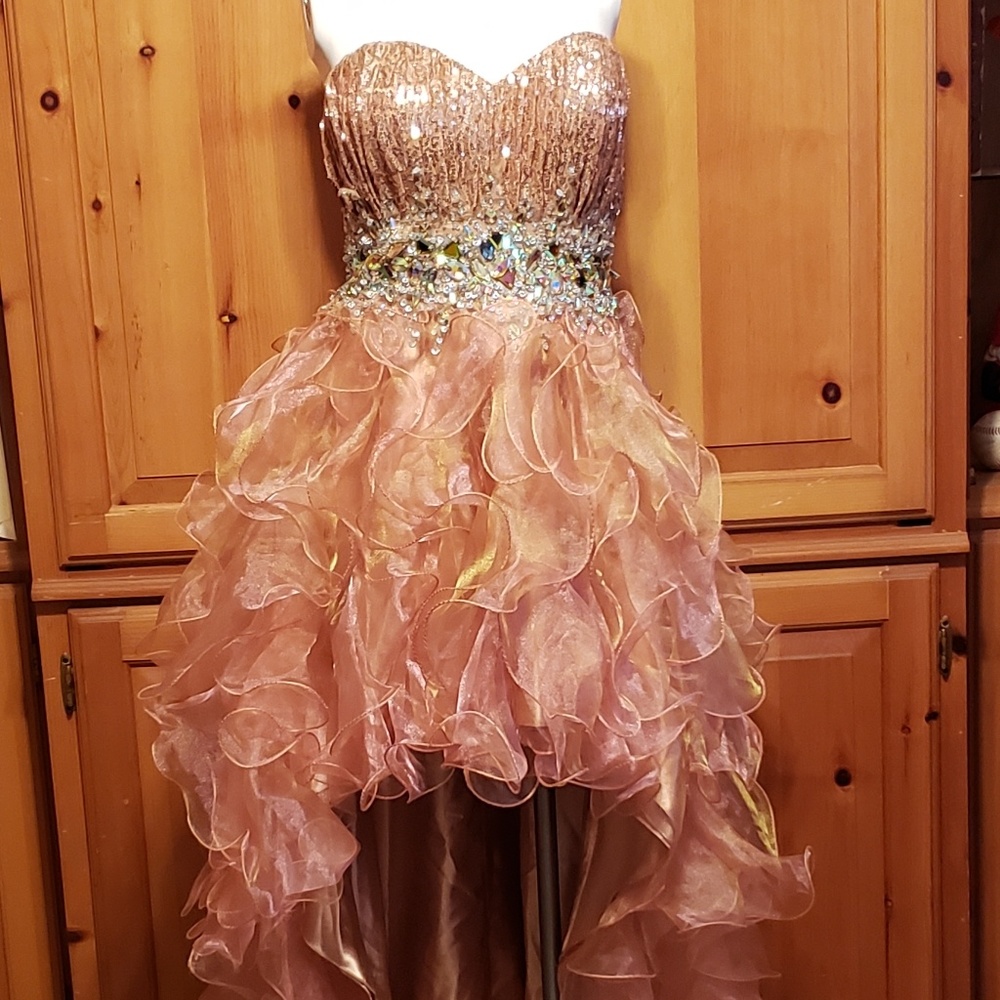 Cinderella Hi-low Gown
